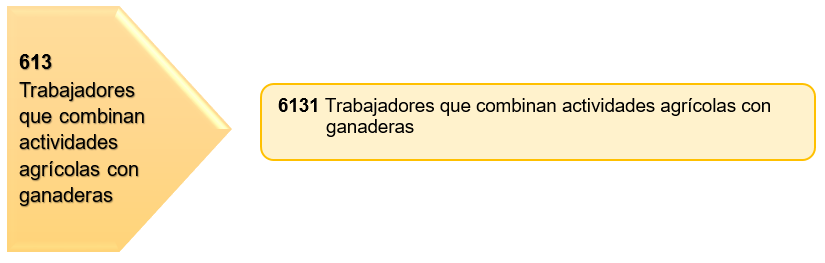 Service Name